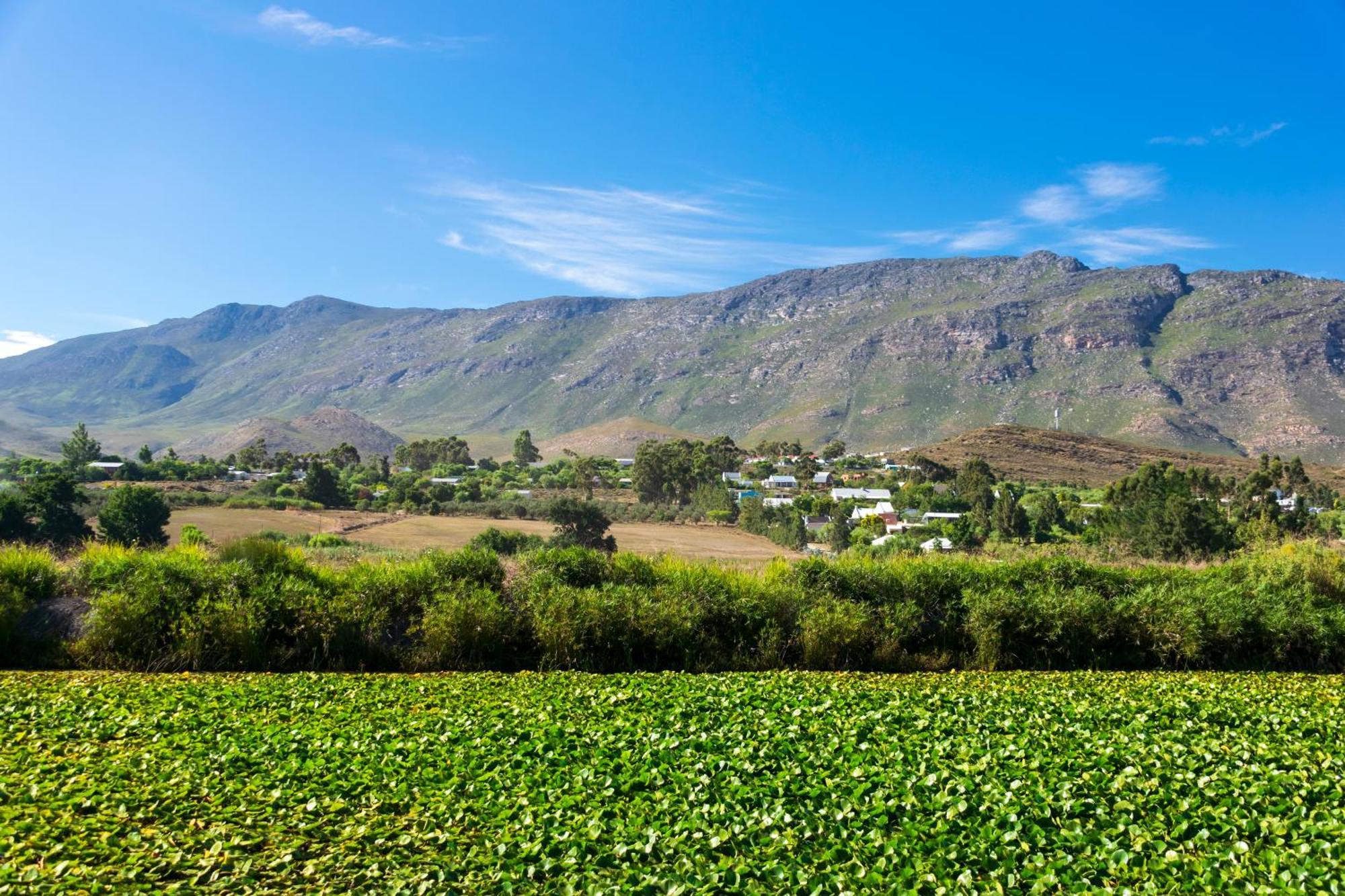 Blue Cow Barn - Boutique Farm Guest House Barrydale Eksteriør bilde