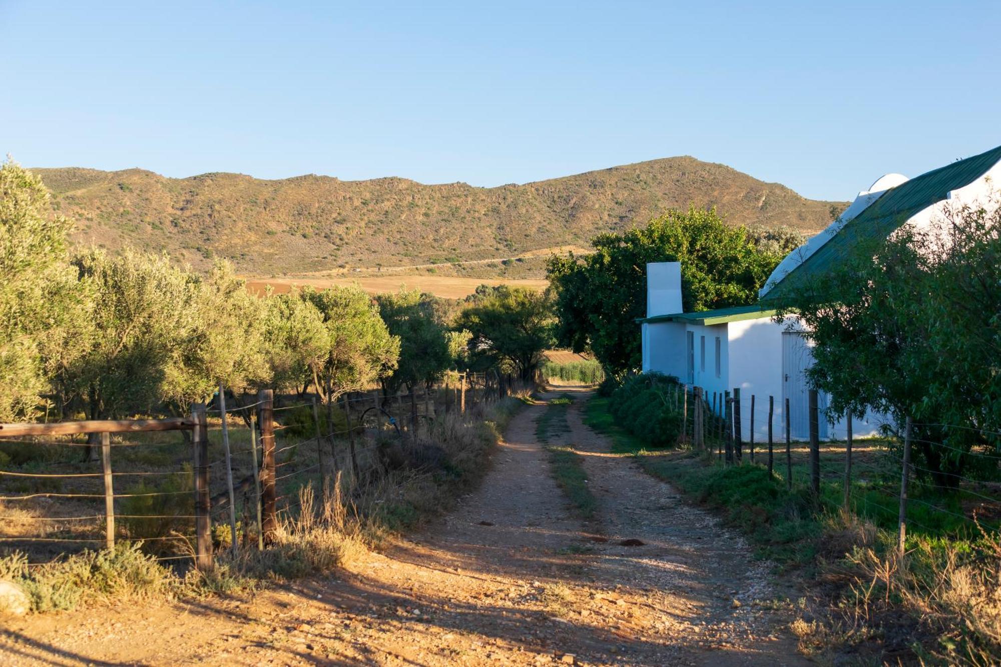 Blue Cow Barn - Boutique Farm Guest House Barrydale Eksteriør bilde